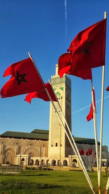 DISCOVER MOROCCO 2026