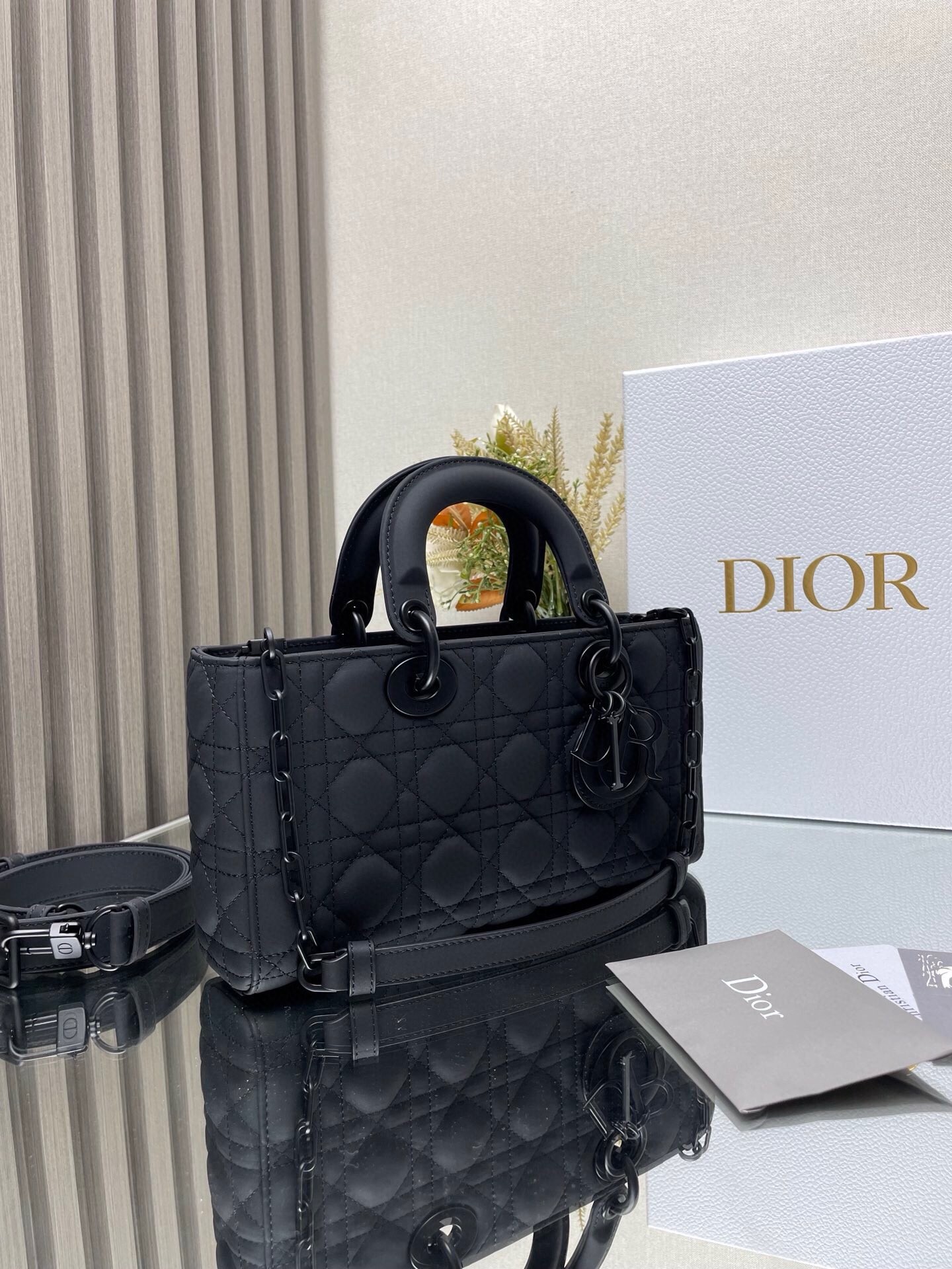 Dior DR581 Lady D-Joy Bag