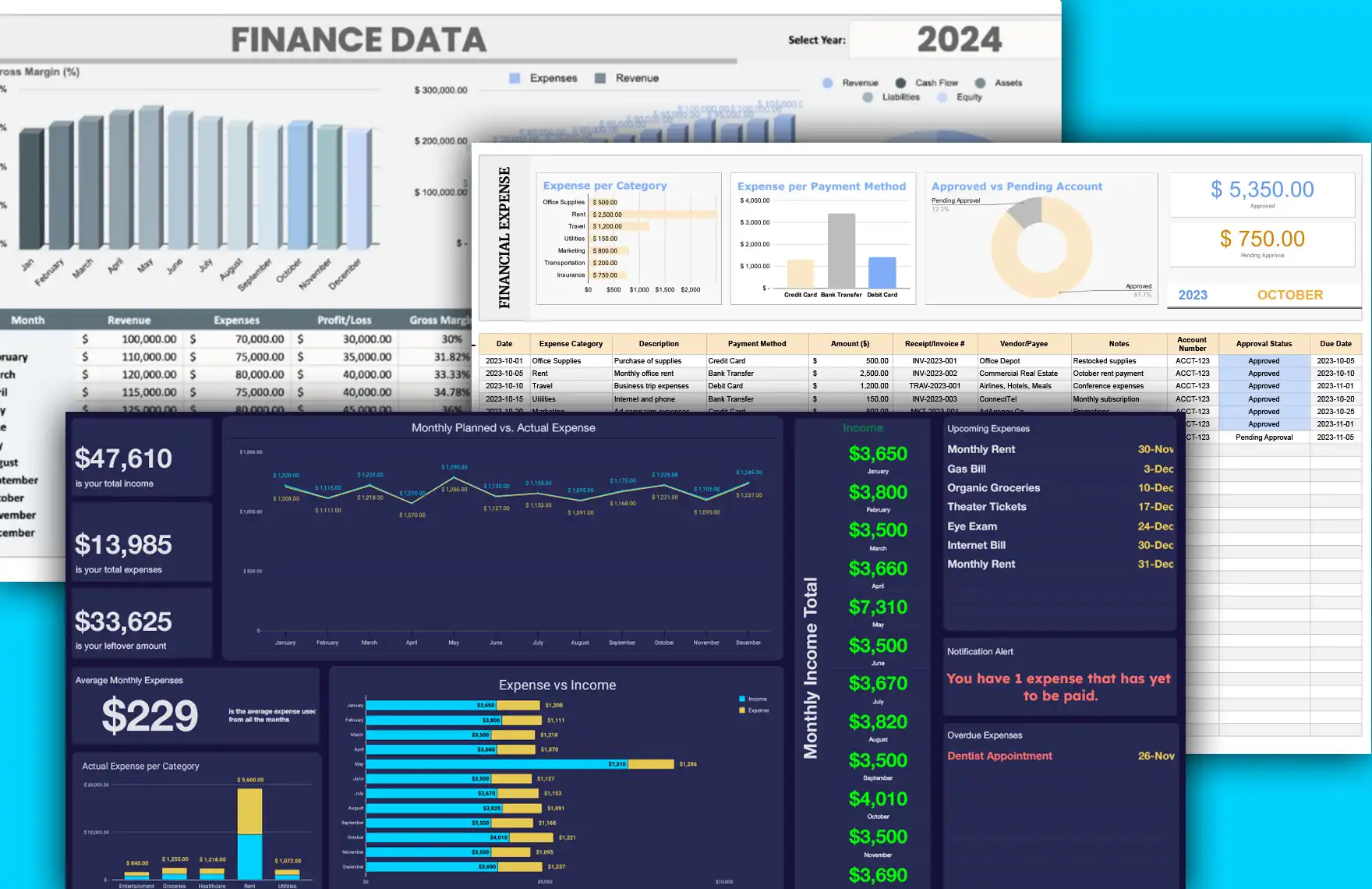 الحسابات المالية | Financial Statement