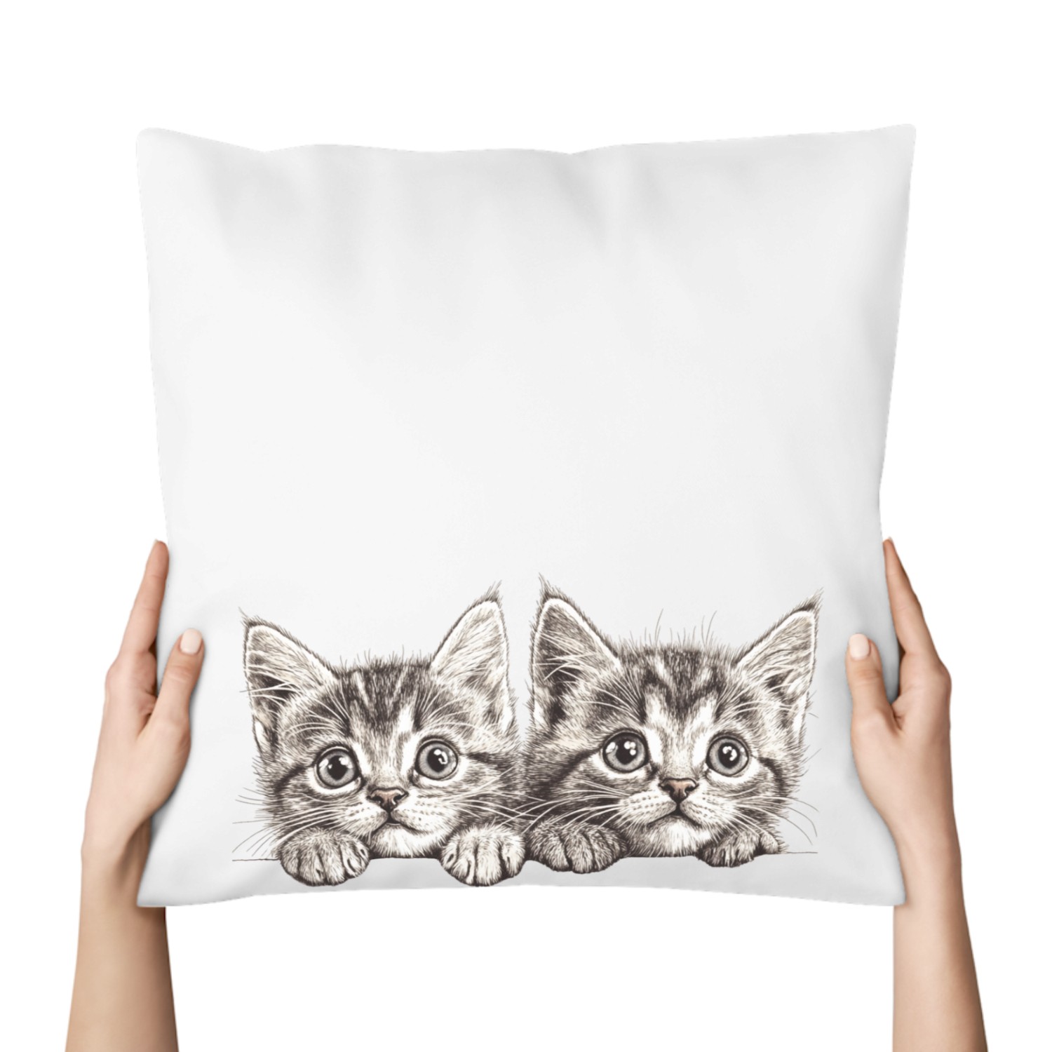 Pillow Two MchiCHAtt