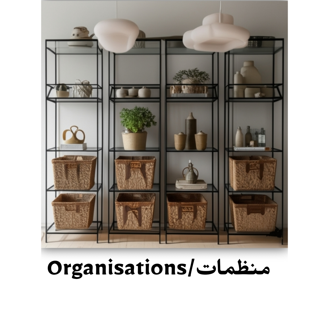 المنظمات