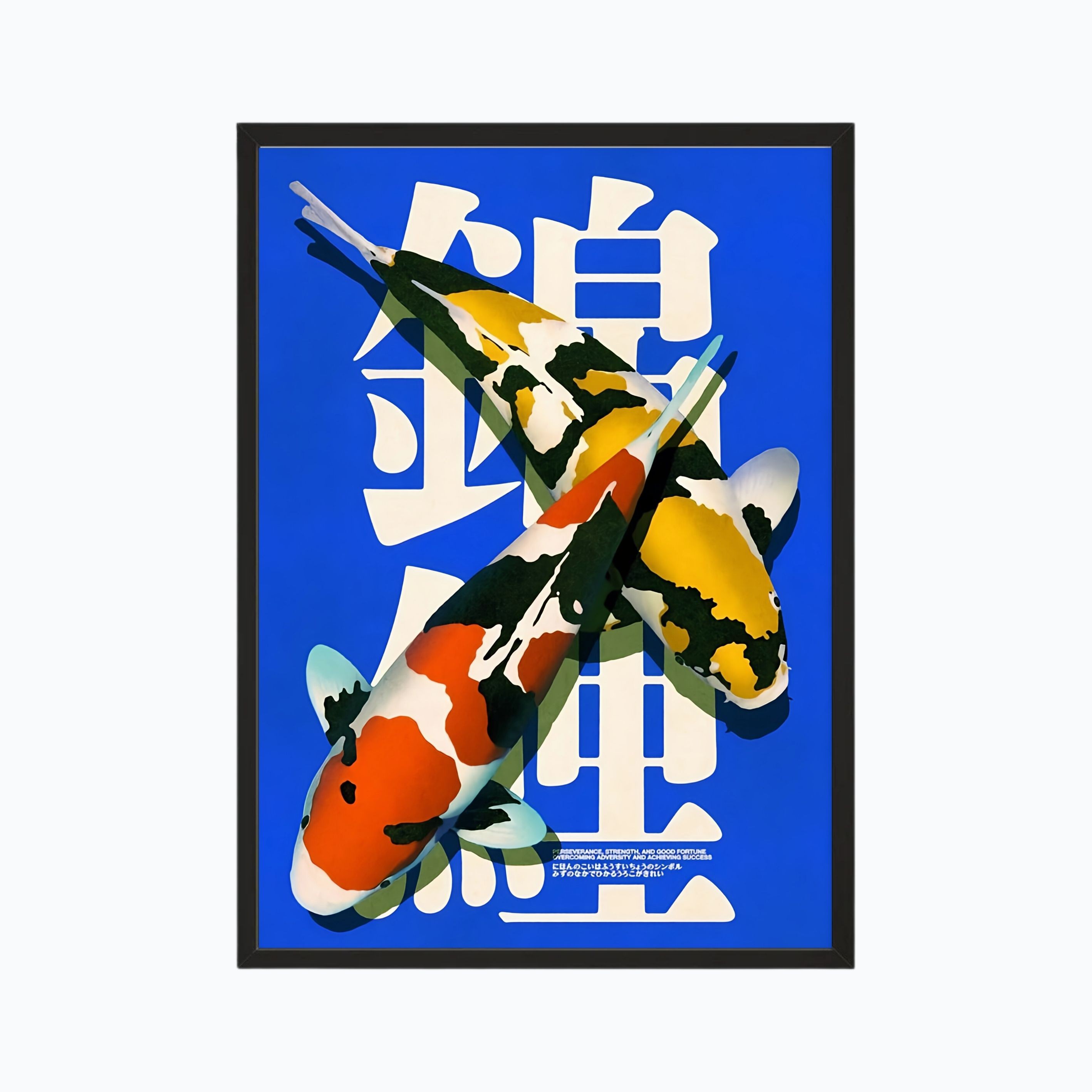 Nishikigoi 4