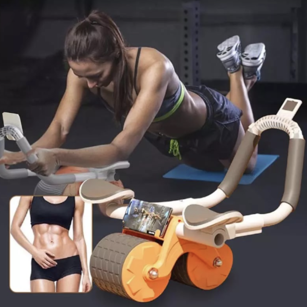 Abdominal exercise wheel