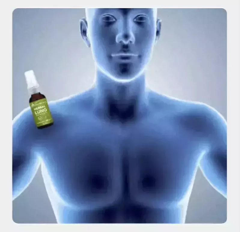 🚭 احمِ رئتيك قبل ما يفوت الفوت! - بخاخ Herbal Lung هو الحل الطبيعي لي كيعاونك تنظّف رئتيك من آثار التدخين، التلوث، والغبار… بطريقة سهلة وفعّالة.