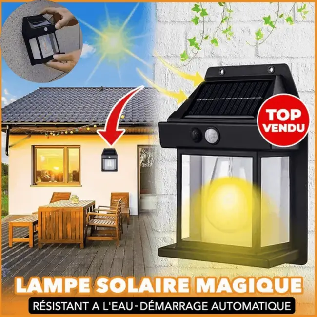 Lampe à capteur de mouvement à énergie solaire CG