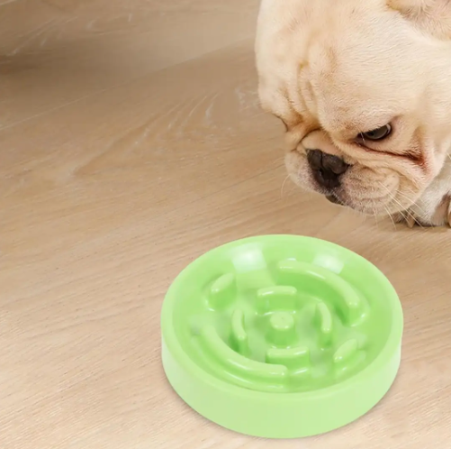 صحن طعام للحيوانات الأليفة 🐾 – صحة، راحة وسعادة في كل وجبة 🌸