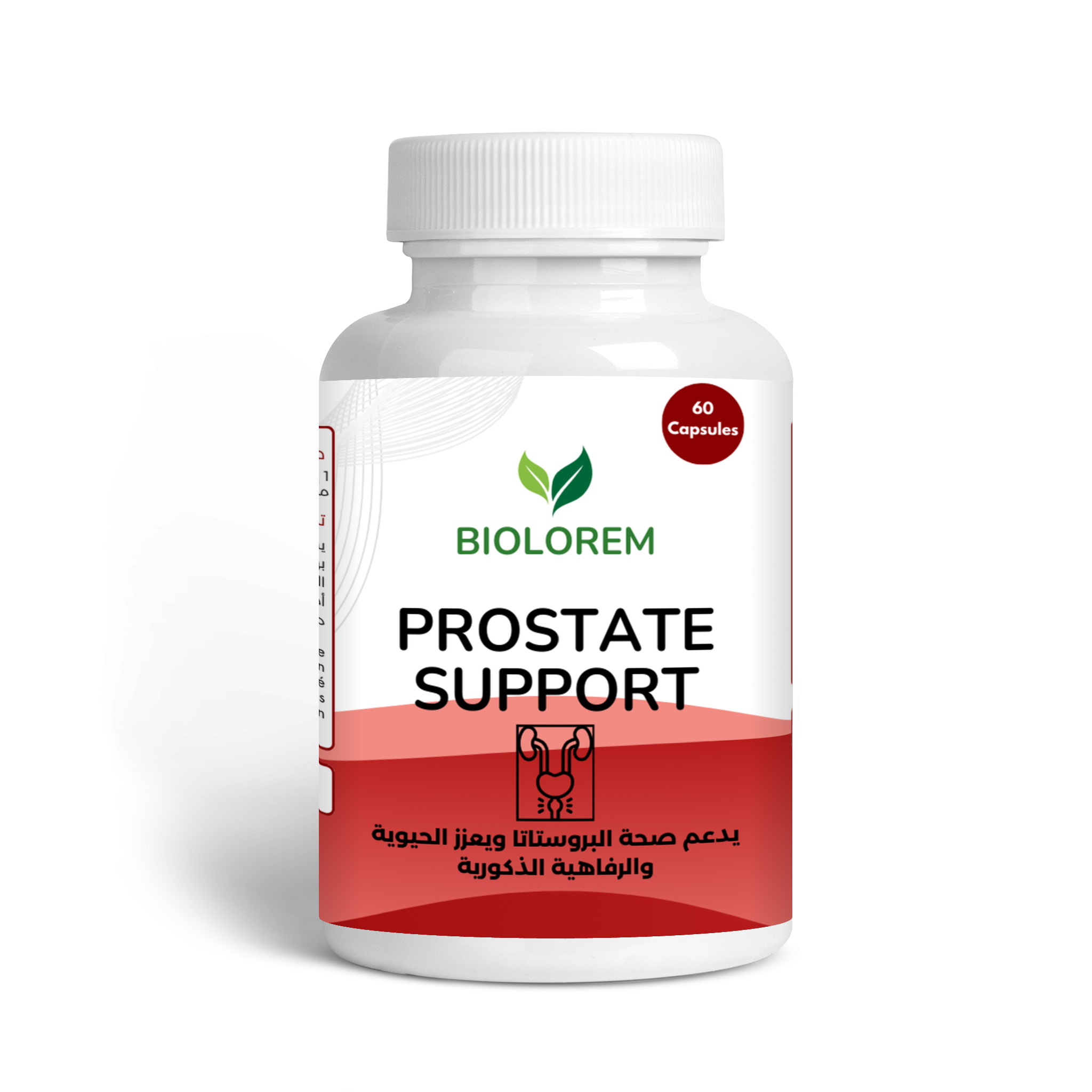 Prostate