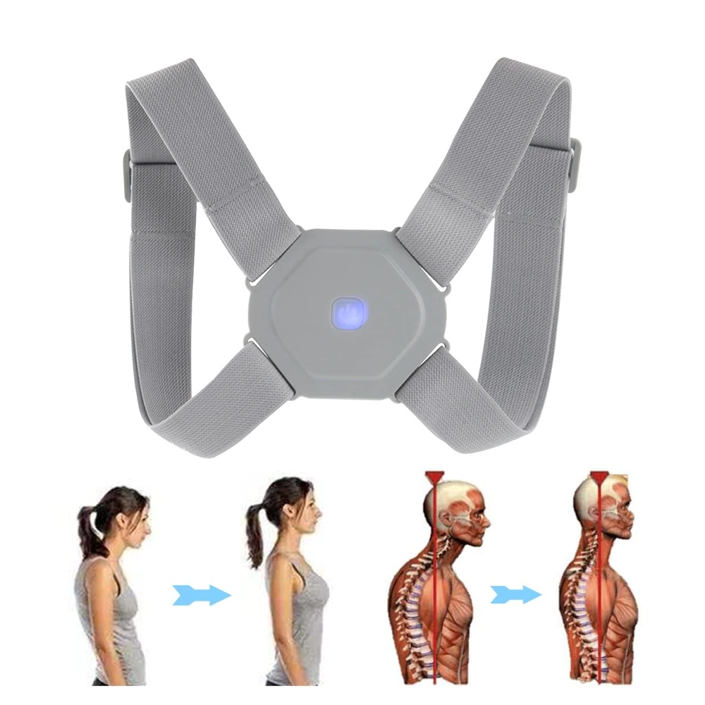 back support