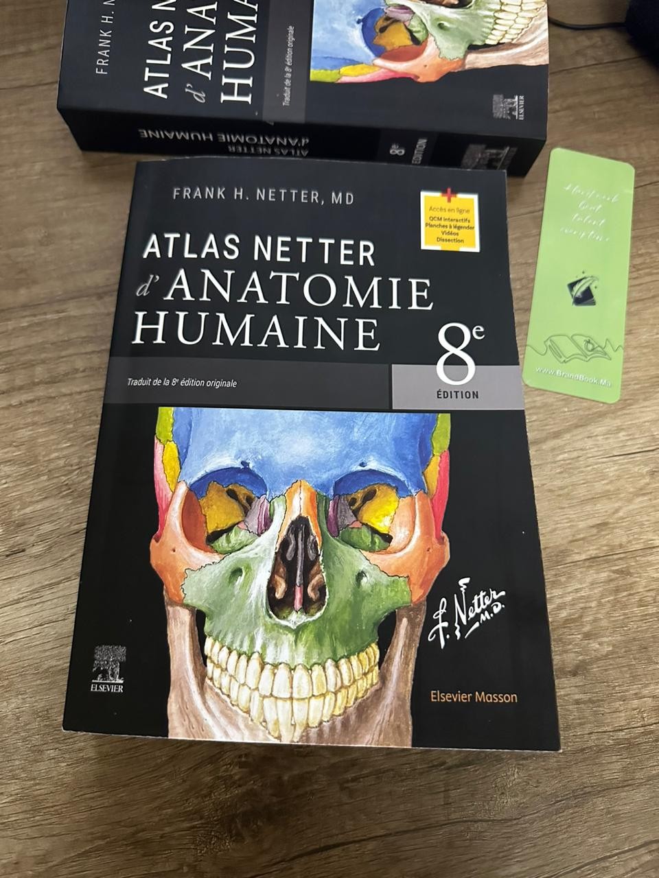 Atlas Netter d anatomie humaine 8ème édition