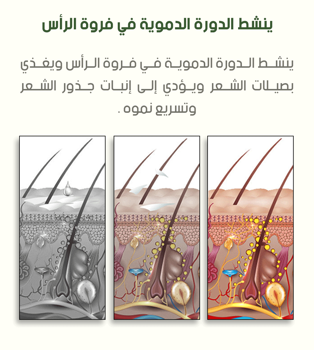 صورة المنتج