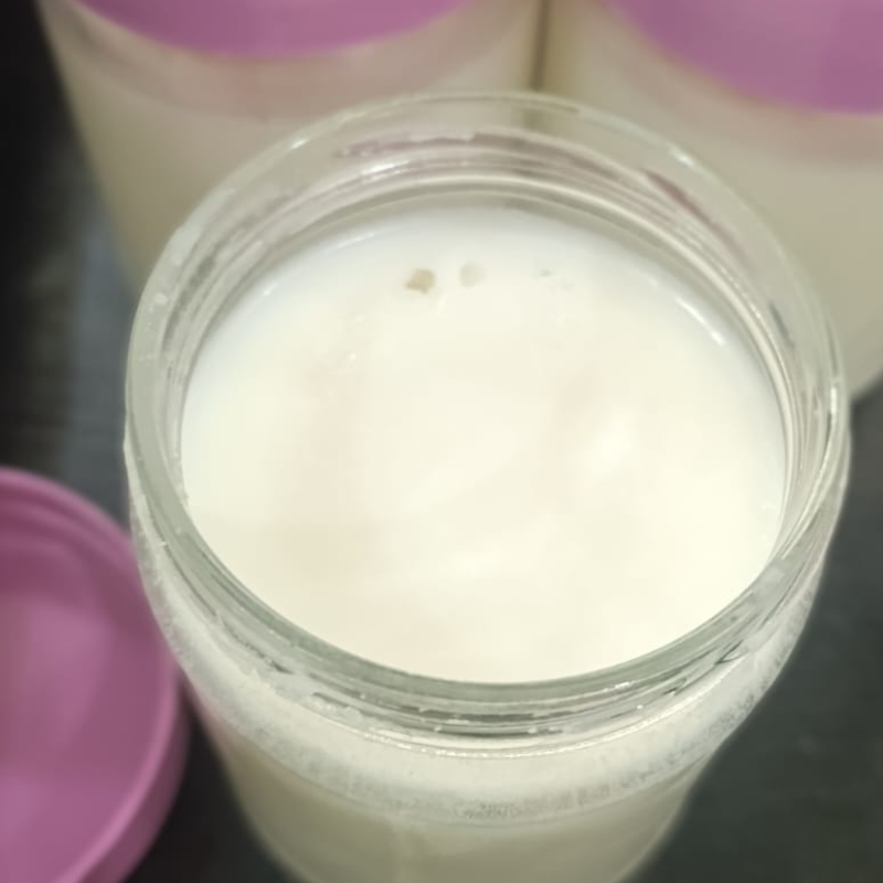 دروة الجمل الصحراوية