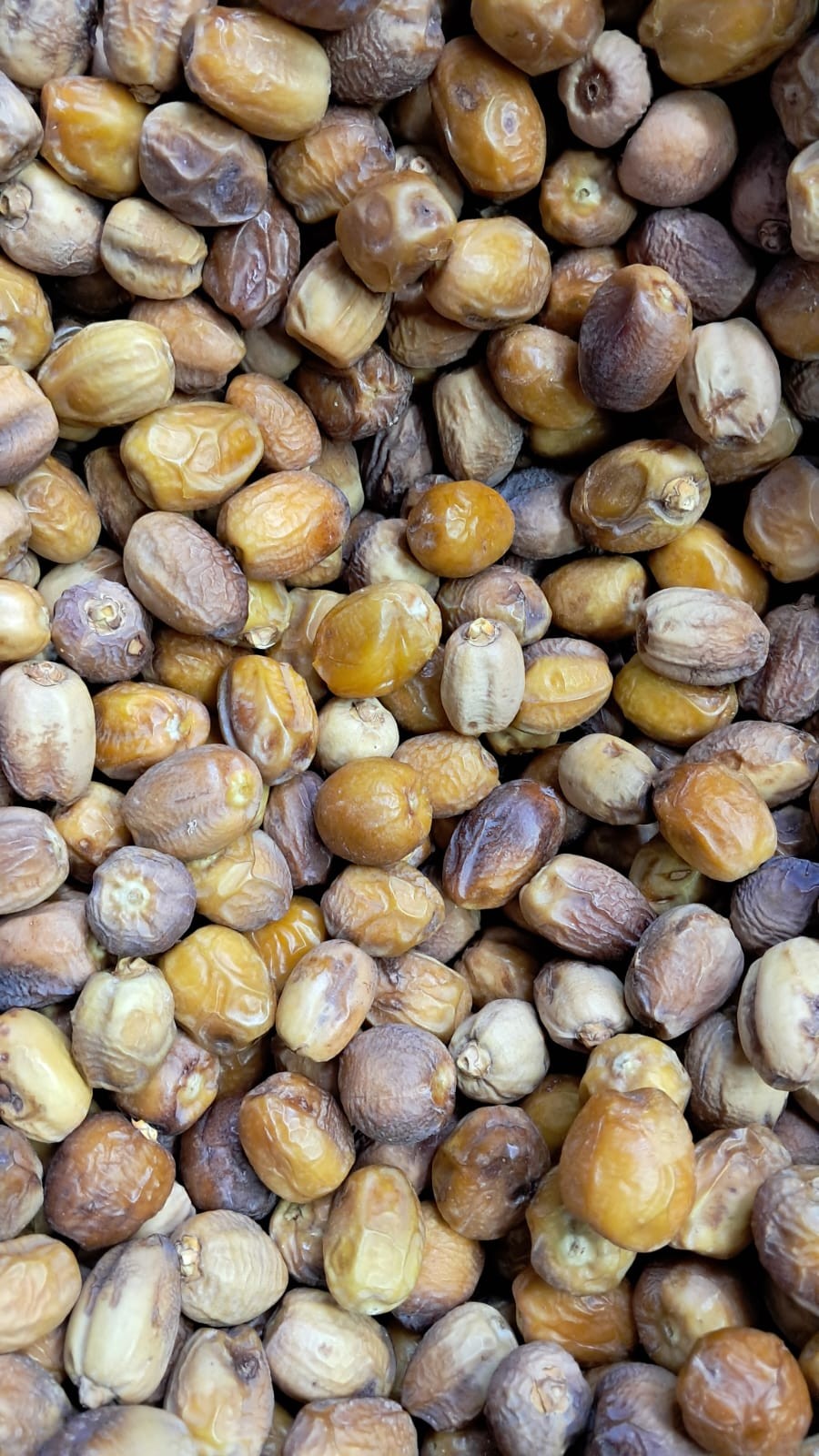 تمر ترزاوة الأصلي