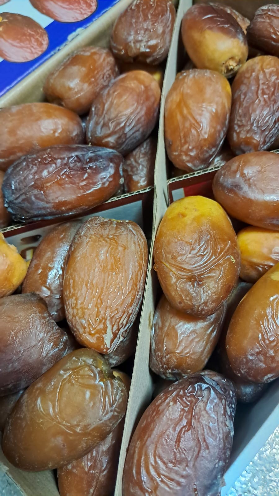 تمور المجهول حجم كبير