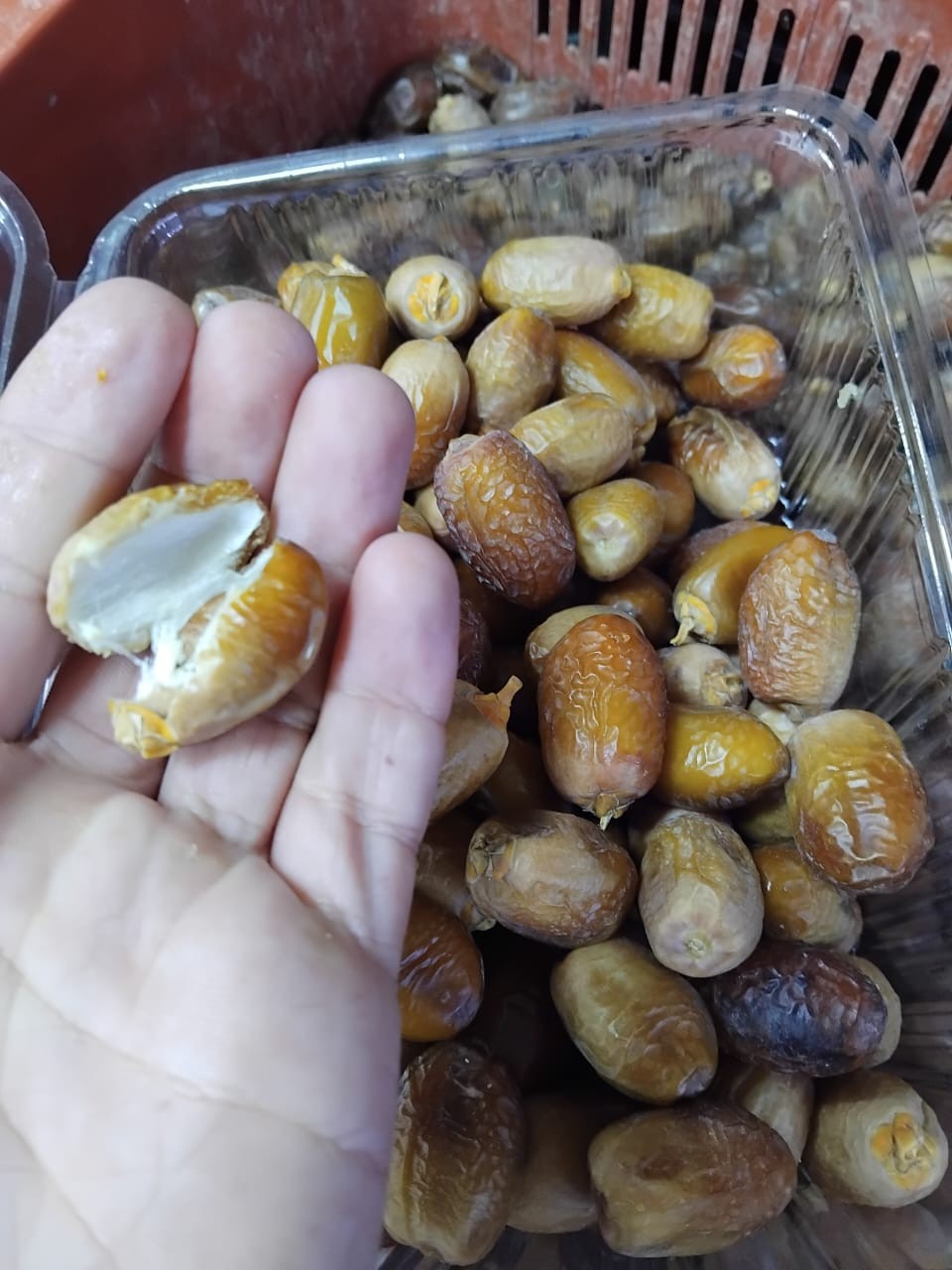 🟤 تمر “أدمو” – لا يُباع للجميع، بل يُقدَّم لمن يعرف قيمته