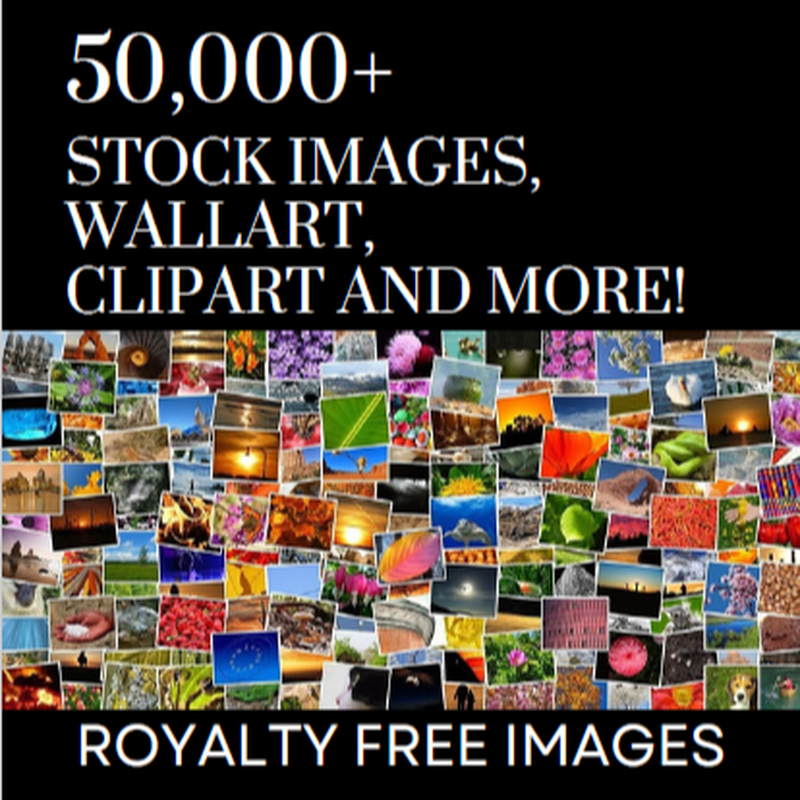 50000+ Stock Images