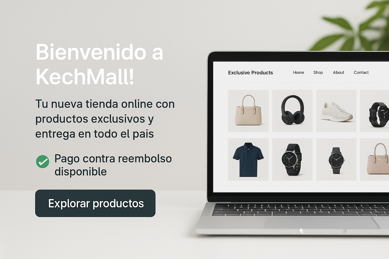 slider-image