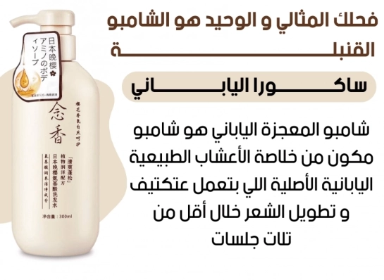 sakurairaq
