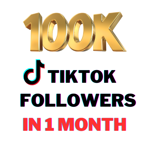 100k TikTok Followers (1 Month)