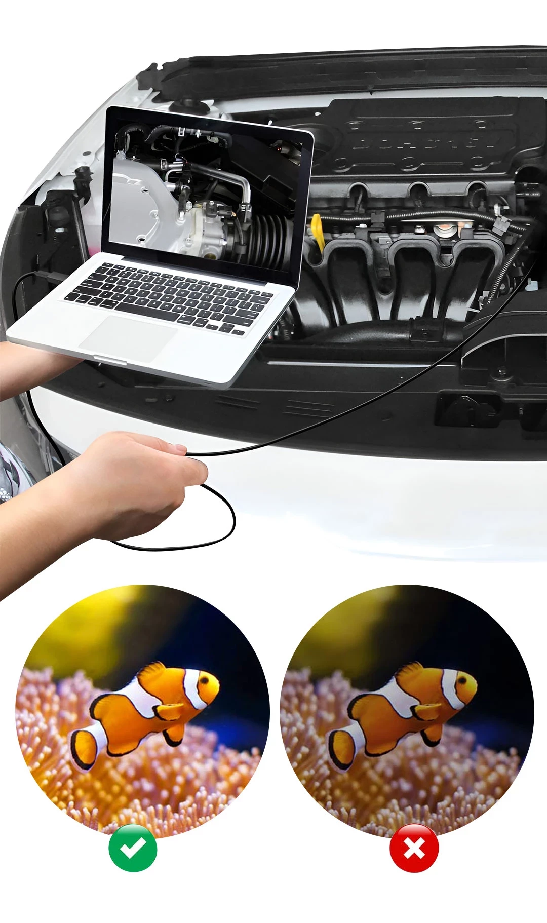 funnel.sf_single_image