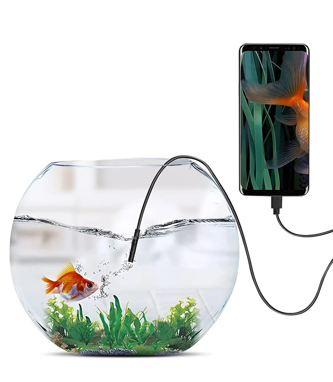 funnel.sf_single_image