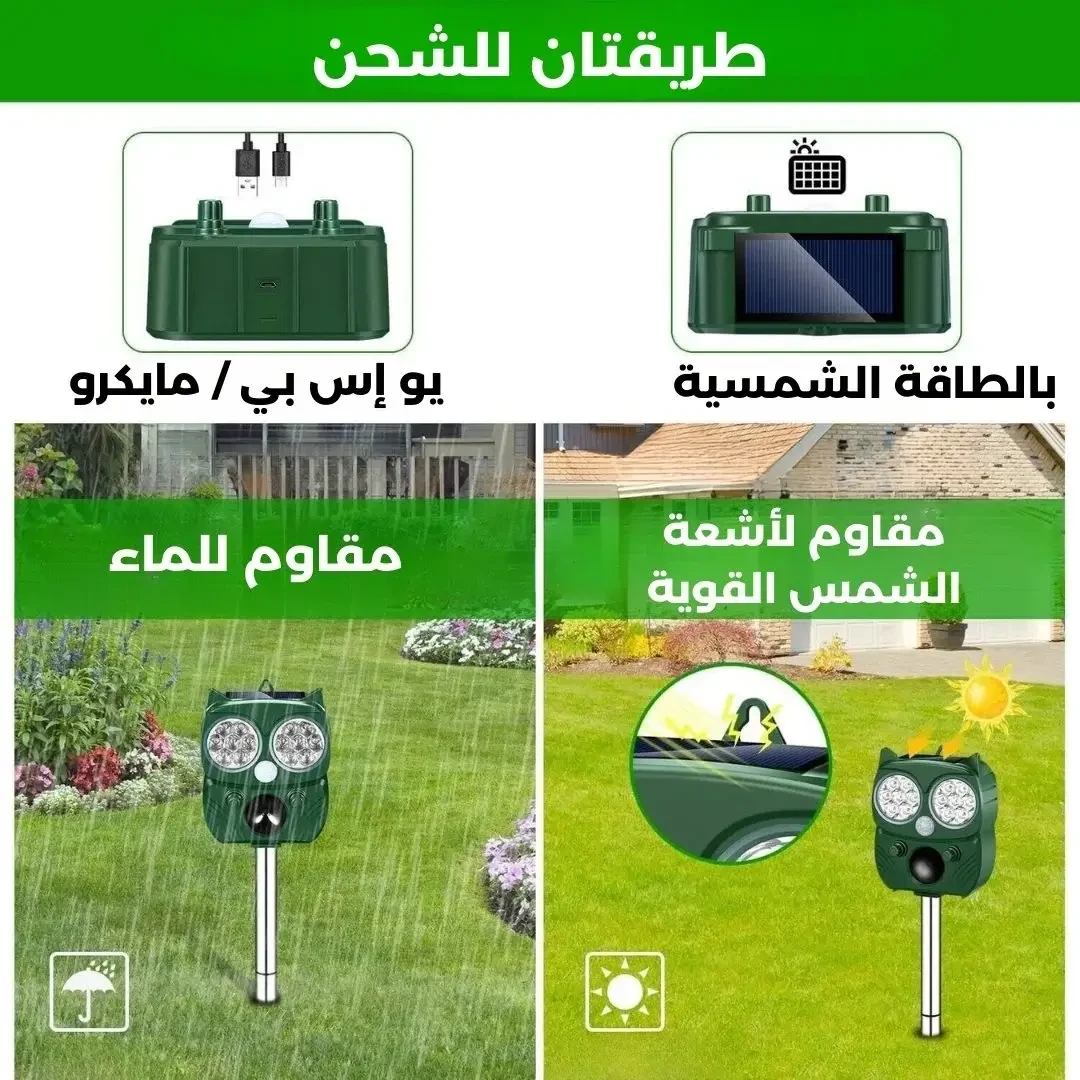 funnel.sf_single_image