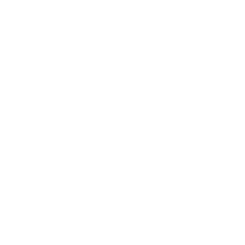 Chat-GPT Plus