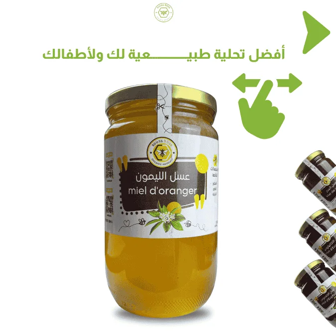 4 أنواع من أصفى أنواع العسل المغربي
