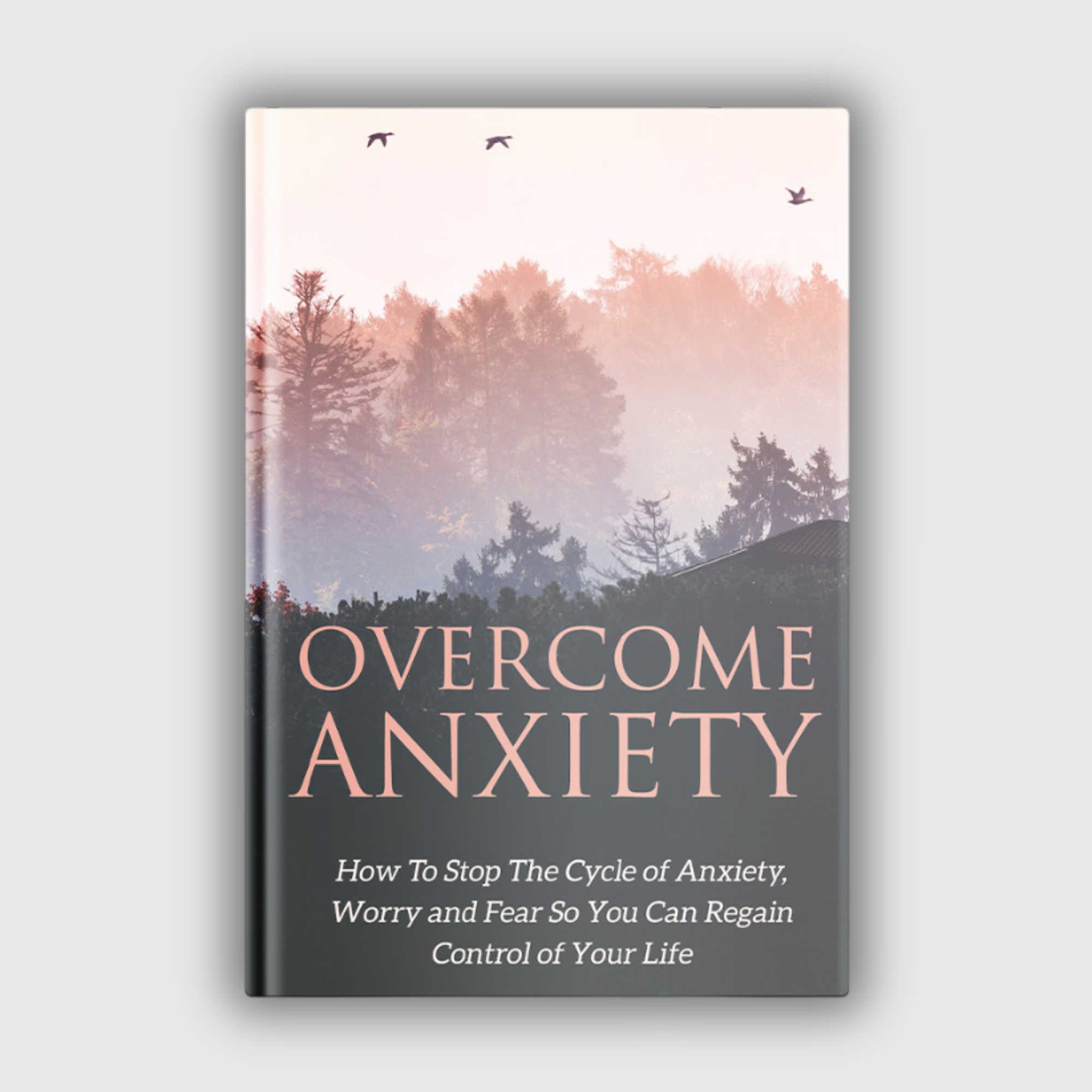 Overcome Anxiety